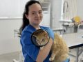 Специалисты госветклиник рассказали, как позаботиться о домашних питомцах в теплое время года