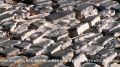 ���� �� ������� ��������� � ������ ����������� ��������� � ���