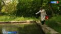 В Севастополе рассказали, как на Максимовой даче борются с комарами