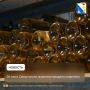 26 мая в Севастополе ограничат продажу алкоголя