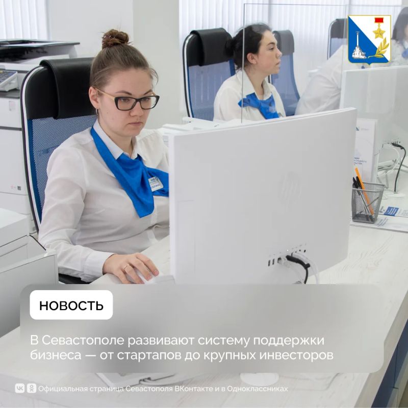 Более 65 тысяч севастопольских предпринимателей получили господдержку за шесть лет