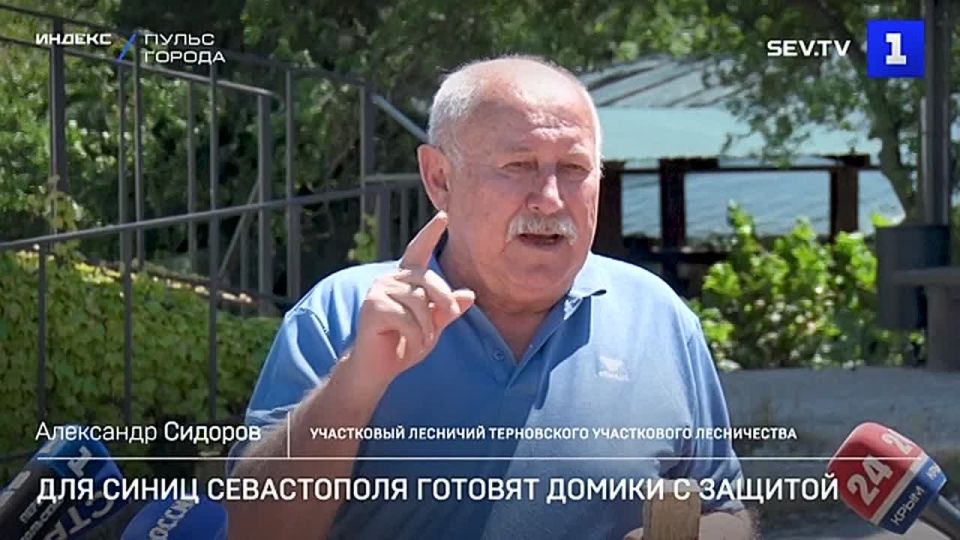 Для синиц Севастополя готовят домики с защитой