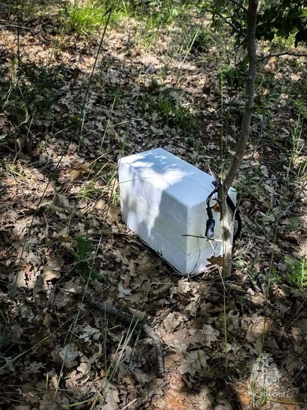 Контейнер со взрывчаткой обнаружили после ночной атаки ВСУ в Севастополе