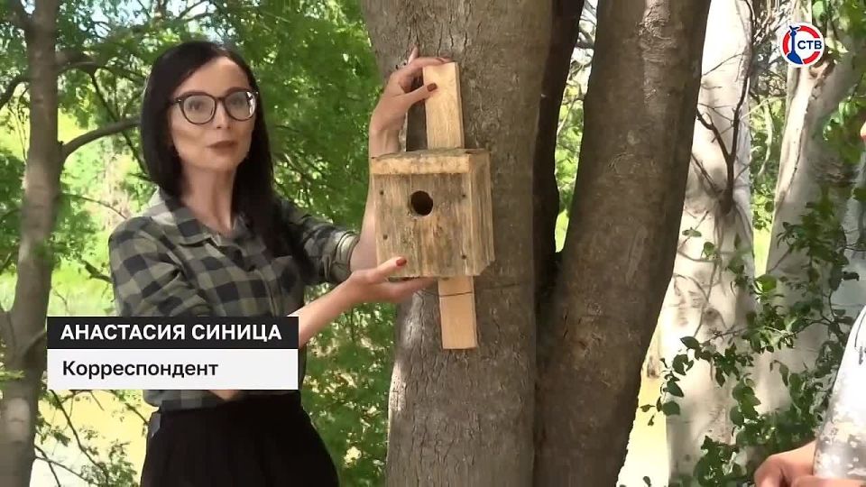 Чем синичники отличаются от скворечников?