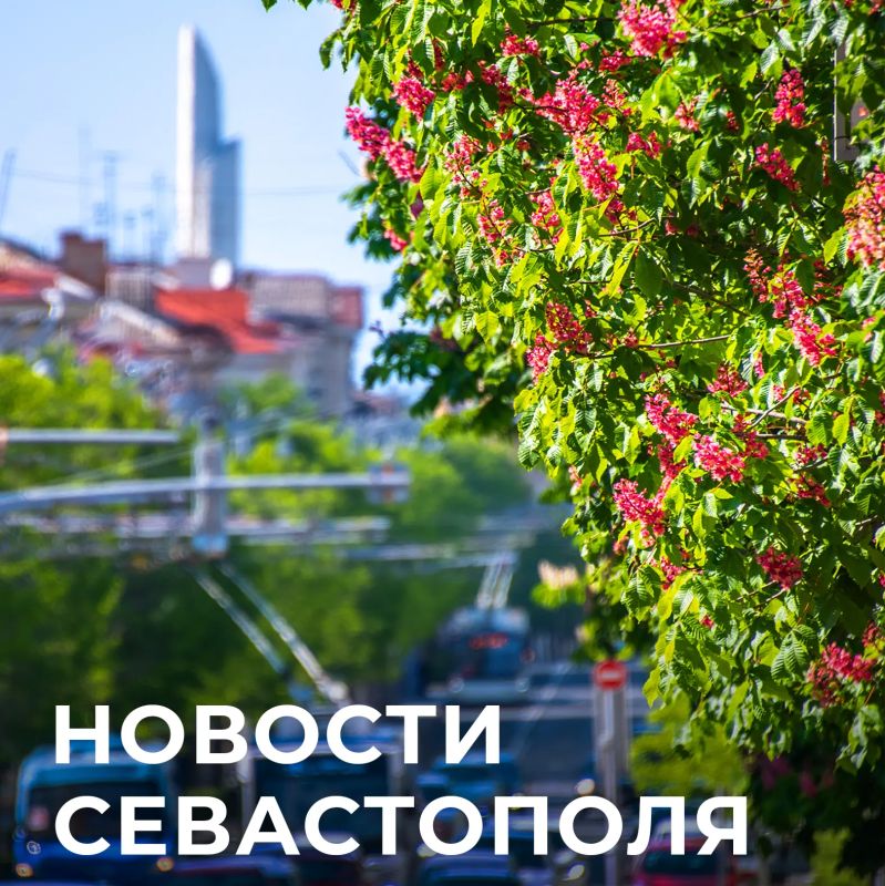 Михаил Развожаев: Коротко о главном:. Помогаем людям после атаки