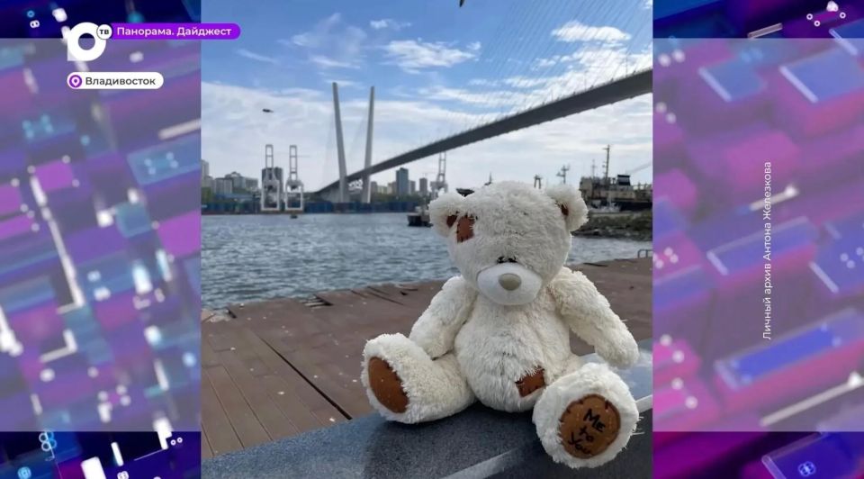 Плюшевый мишка из Владивостока отправился в Севастополь к 3-летней девочке, потерявшей любимую игрушку