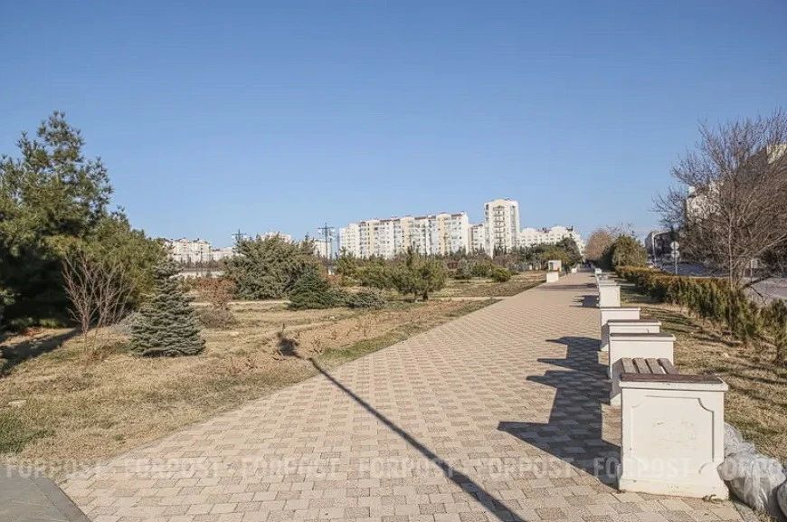 Пустырь вдоль Столетовского проспекта превратят в общественное пространство