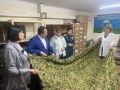 ��������� ������ ������������ ���������� �� ������ ���������� ���