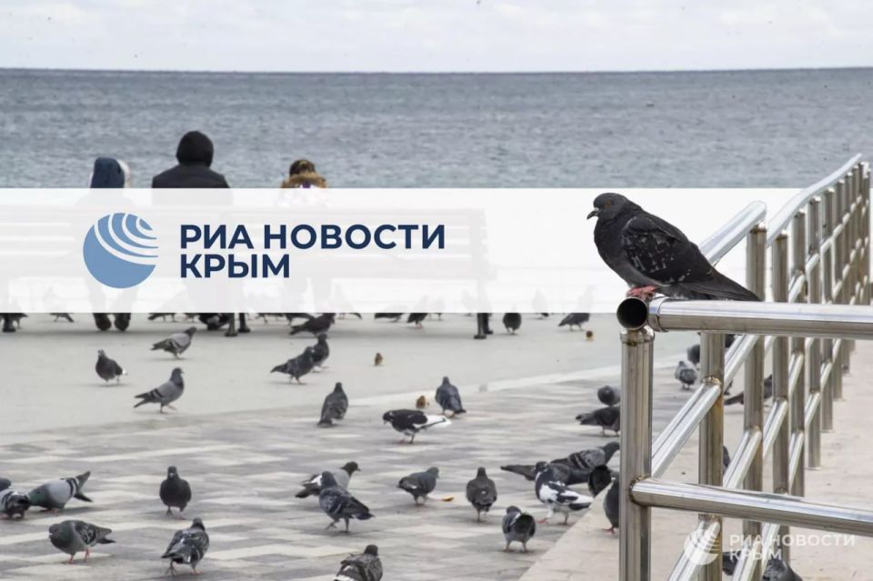 0День с РИА Новости Крым..