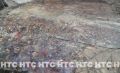�� �������� �����.170� ���������� ��������� ���������-����� ������� ����
