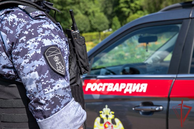Нетрезвый водитель задержан росгвардейцами в Евпатории