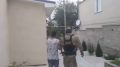 � ����� ������� ���� ������������� ������ ����������� ��������
