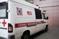 В Севастополе две бойцовские собаки покусали 6-летнюю девочку