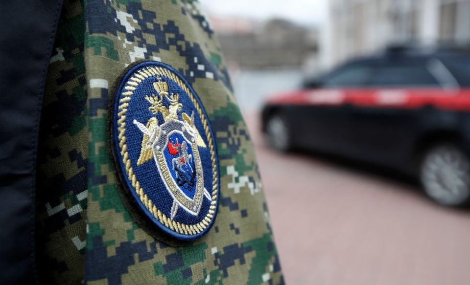 Дело о нападении собак на ребенка в Севастополе – на контроле Следкома