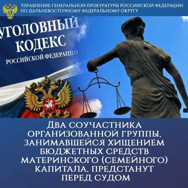 Два соучастника организованной группы, занимавшейся хищением бюджетных средств материнского (семейного) капитала, предстанут перед судом