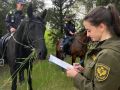 В лесах под Севастополем усилено патрулирование
