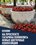 Проспект Гагарина украсили яркими вазонами с цветами