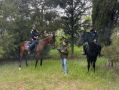 С 18 по 20 июня в лесах Севастополя действует четвёртый класс пожарной опасности
