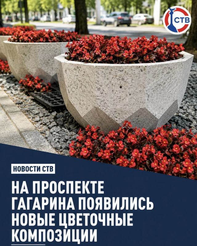 Проспект Гагарина украсили яркими вазонами с цветами