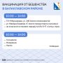 Позаботьтесь о питомце: в субботу в Балаклавском районе будет работать госветслужба