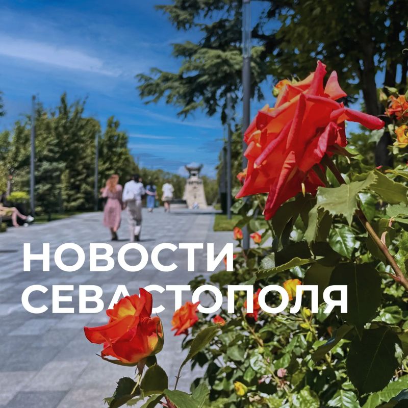 Михаил Развожаев: Коротко о главном:. Наши военные, силы ПВО и мобильные огневые группы отразили атаки ВСУ