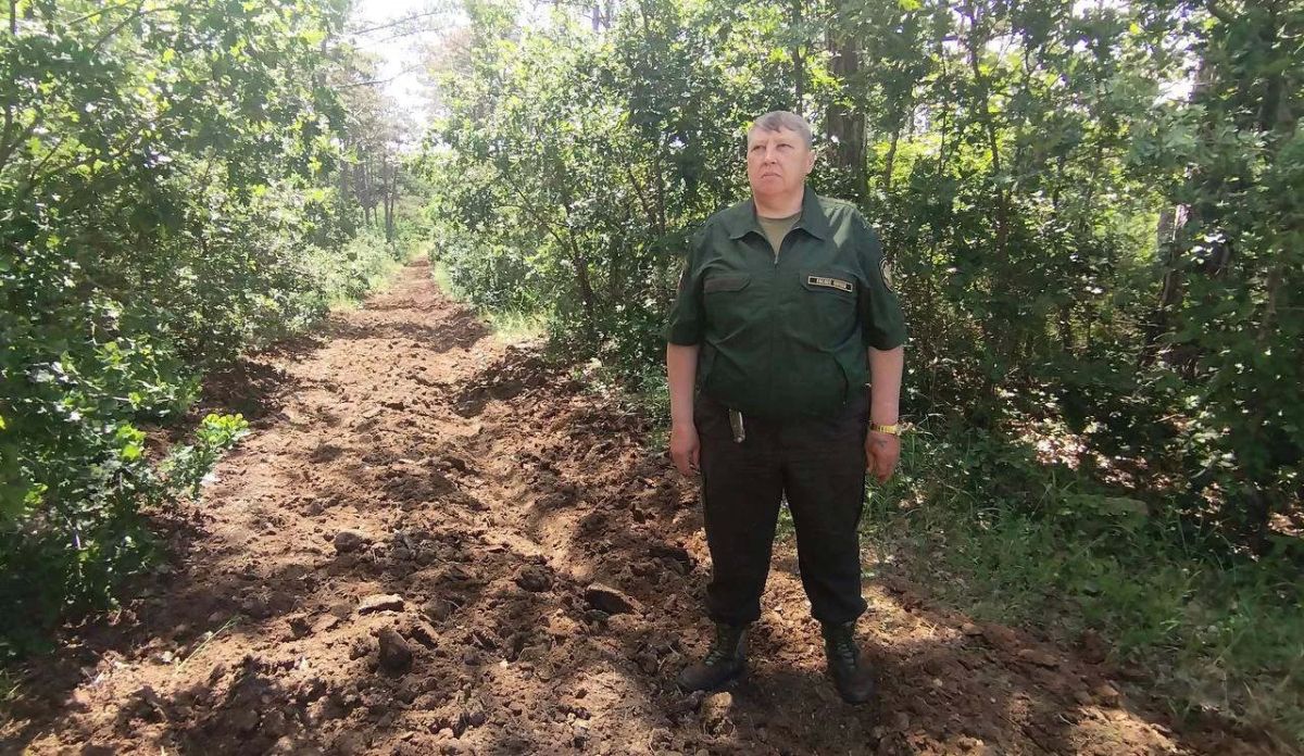 ЛИЦА Севприроднадзора. Александр Берлизев — хранитель Мекензиевского леса