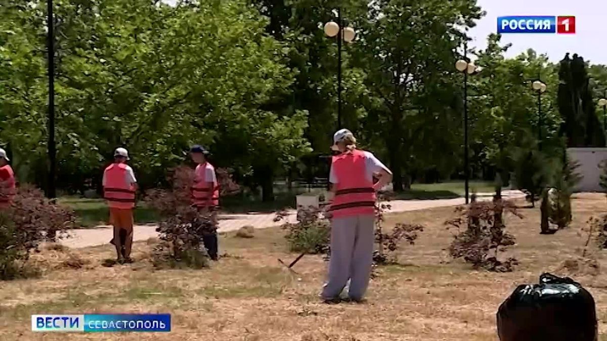 Больше 300 подростков трудоустроены с начала июня в составе губернаторских школьных трудовых отрядов