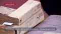 От корней к ветвям: как восстановить свою родословную с помощью фондов городского архива