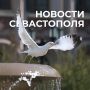 Михаил Развожаев: Коротко о главном:. Новая смена