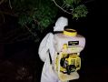 Еще два памятника природы обработали от насекомых-вредителей