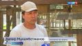 Погода сейчас испытывает на прочность не только людей, но и животных