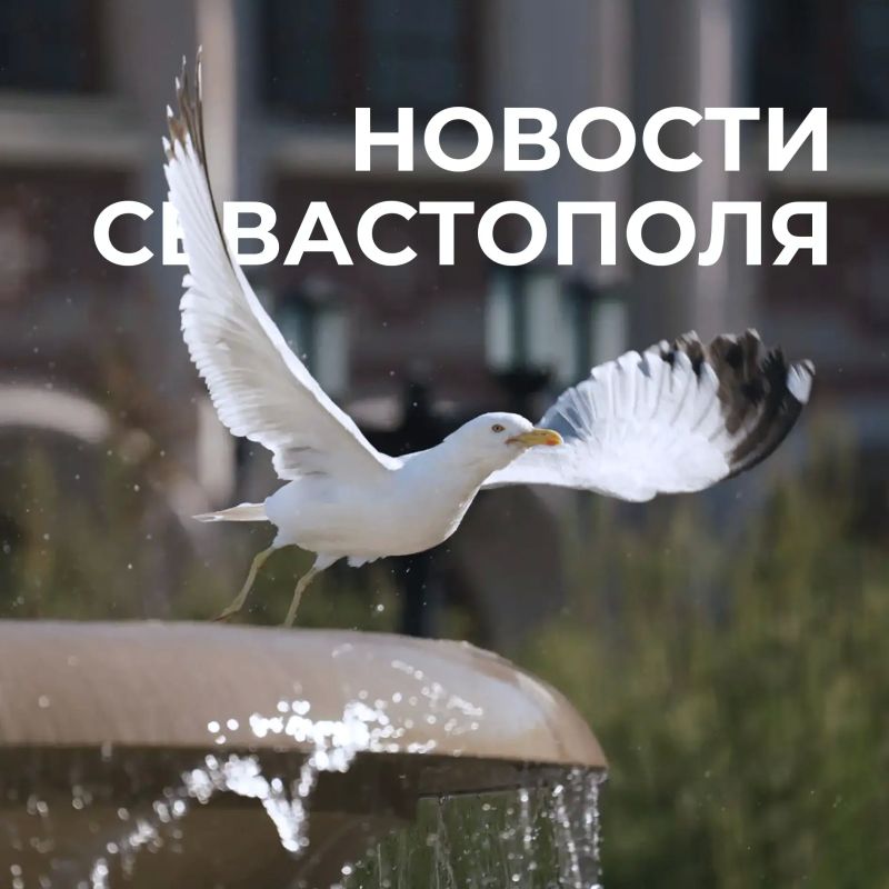 Михаил Развожаев: Коротко о главном:. Новая смена