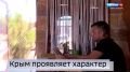 Переходите по ссылке и смотрите нашу итоговую программу!