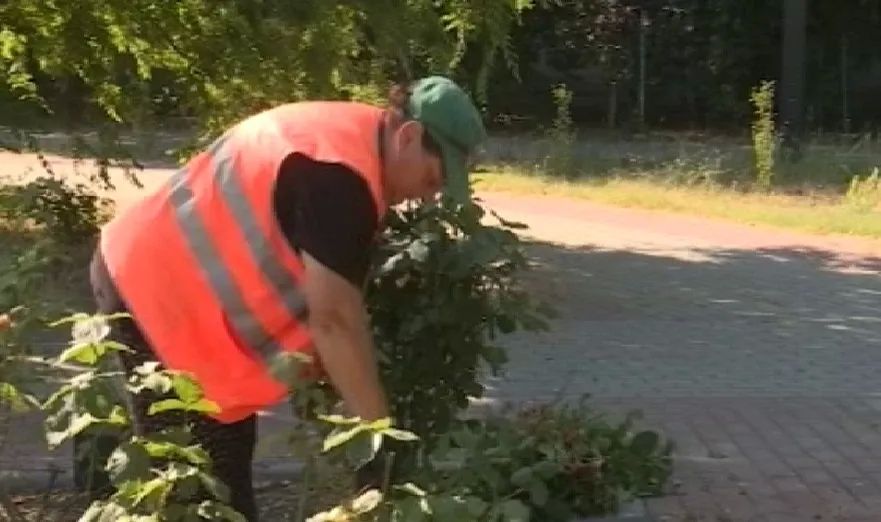 В Севастополе привели в порядок сквер имени комбата Неустроева