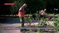 � ������ ������� ���������� ���������� ��������� �� ��������
