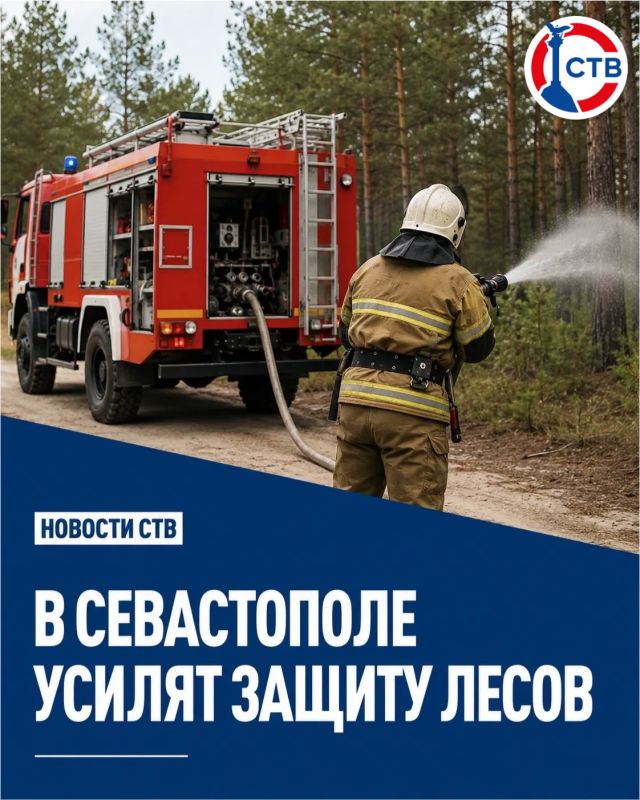Для защиты севастопольских лесов закупят новую технику