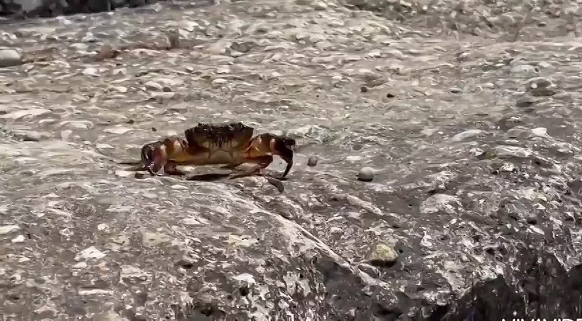 В суете дней порой забываем в каком красивом месте мы живем - на море!
