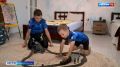 Любовь и спорт: история семьи Заднипровских