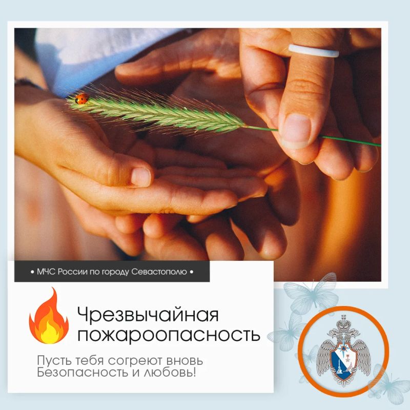 Здравствуй, Севастополь!. По данным гидрометцентра, 8 июля в Севастополе будет переменная облачность