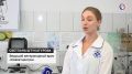 В Севастополе начинается сезон дынь и арбузов