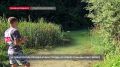 В Севастополе определили лучшего рыбака на Кубке города по ловле спиннингом с берега