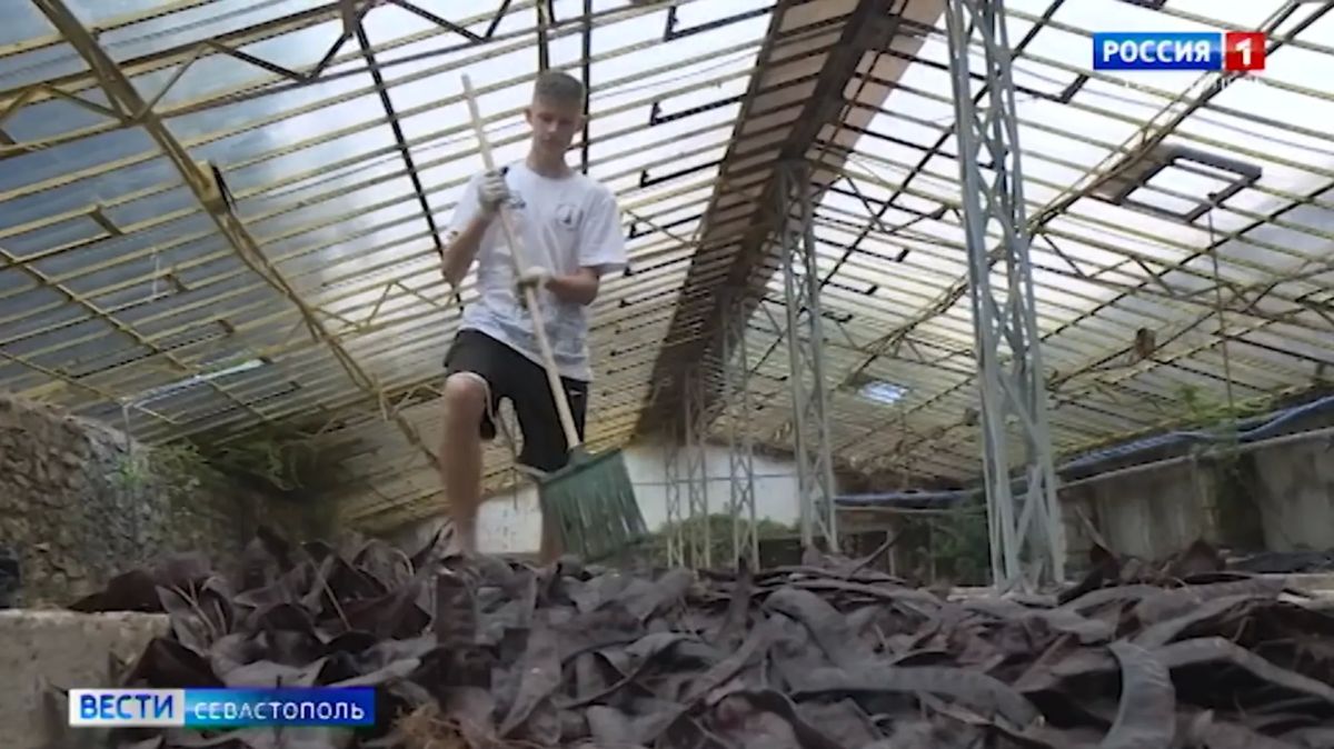 Севастопольские школьники осваивают профессию лесовода