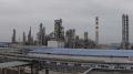Новак: на топливном рынке России возник кризис