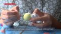 � ����� ������ �������� ���������� ������-������ �� ������� �������� �������