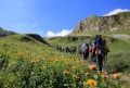 Кубань приняла 3,2 млн туристов за пять месяцев