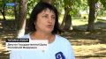 Татьяна Лобач проверила состояние укрытий в Инкермане Ранее губернатор Михаил Развожаев поручил главам муниципалитетов взять состояние укрытий под личный контроль. Ход этой работы на местах накануне проконтролировала депутат...