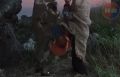 � ����������� ������� ���-���������� ��� � ��� ���������� �� ����������� ���������� ��������