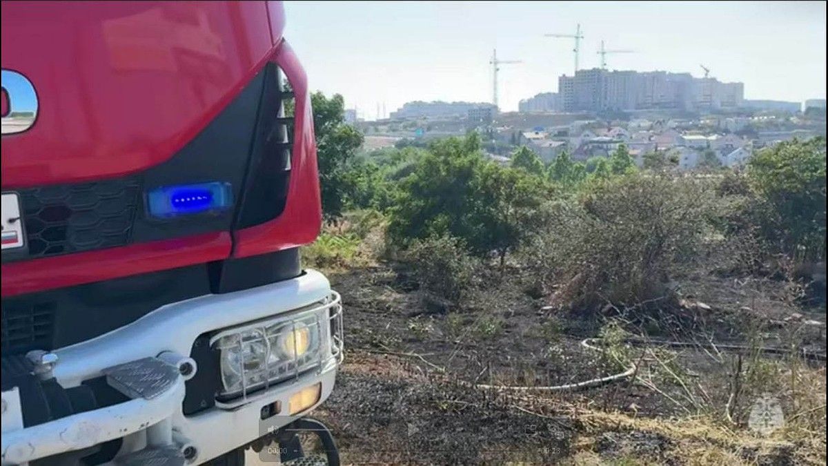 В Севастополе на Вакуленчука загорелась сухая трава: пожар потушили за полчаса