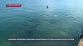 Севастопольские спасатели провели тренировку сложных водолазных работ