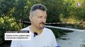 Максимову дачу повторно обработали от американской белой бабочки